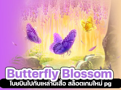 Butterfly Blossom โบยบินไปกับเหล่าผีเสื้อ สล็อตเกมใหม่ pg